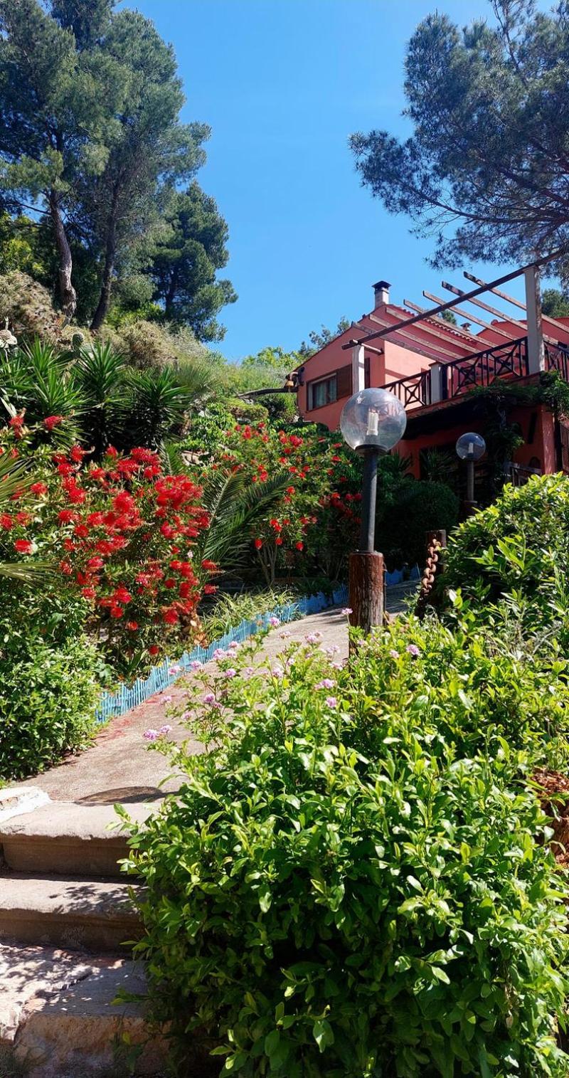 Villetta Dei Fichi D'India Rio dellʼElba Zewnętrze zdjęcie
